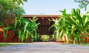 Surfcamp Guadeloupe, Karibik