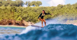 WAVE CULTURE wellenreiten para home