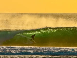 WAVE CULTURE Blog