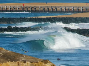 WAVE CULTURE Surfcoach