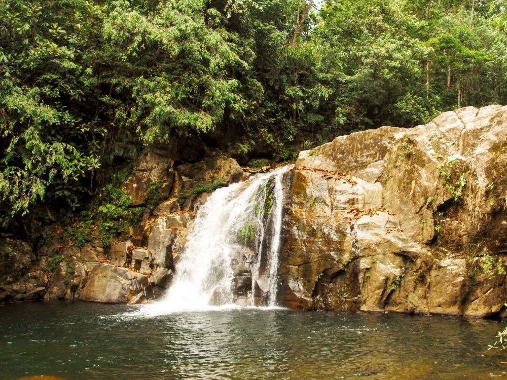 Sinharaja Rainforest Waterfall